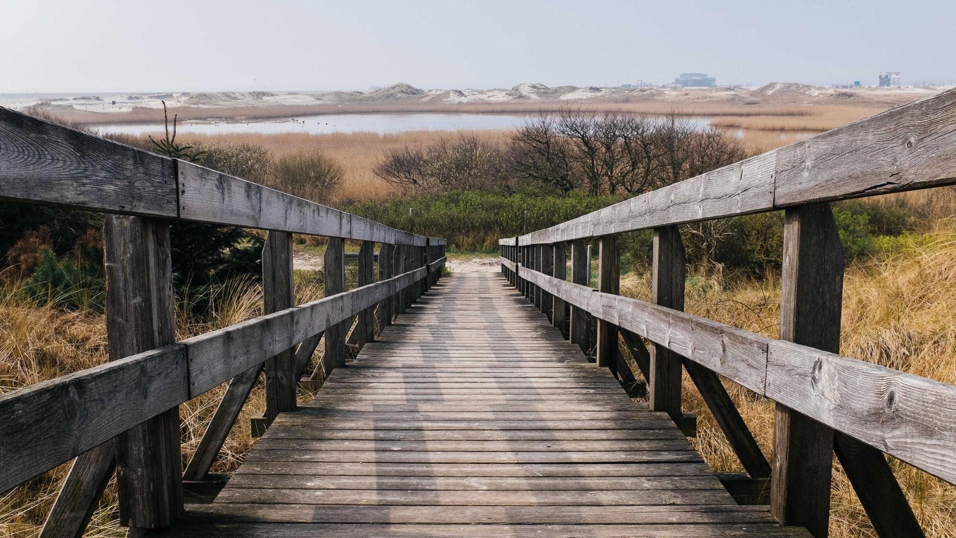 Permainan kartu seru untuk anak cerdas!